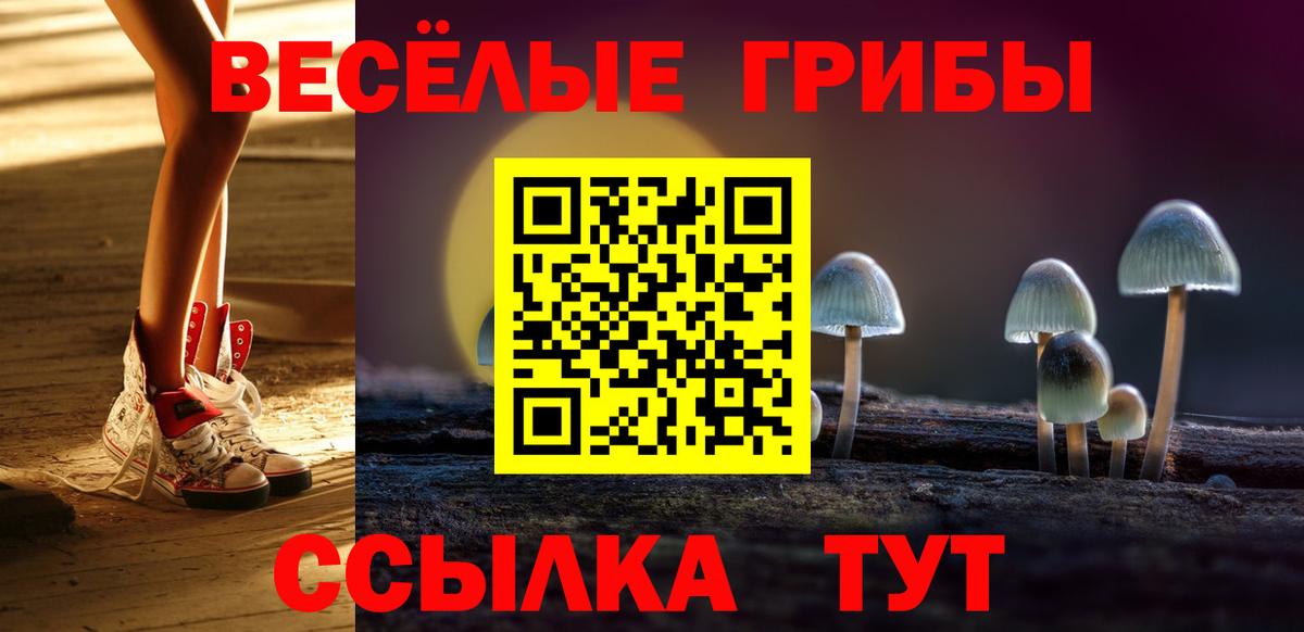 Псилоцибиновые грибы Psilocybine cubensis  купить наркотики цена  Псилоцибиновые грибы Magic Shrooms  Кизилюрт  Вход с VPN 